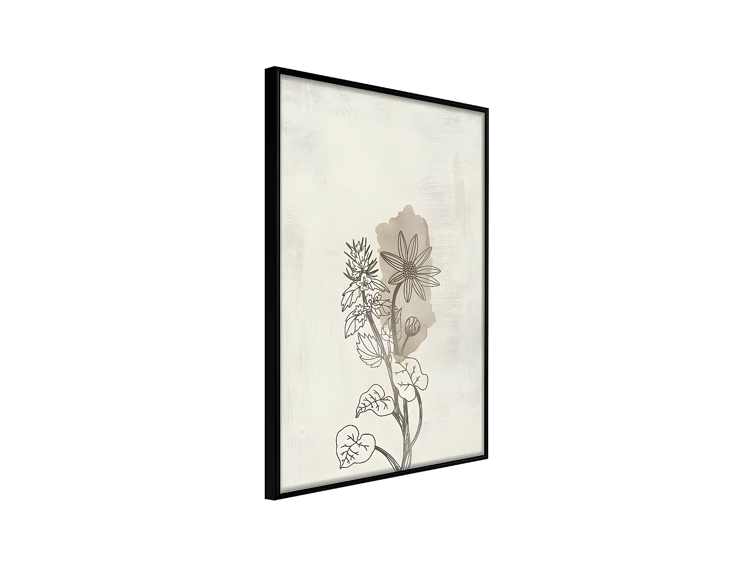 Affiche Murale Encadrée "Life of Plants" 21 x 30 cm Noir
