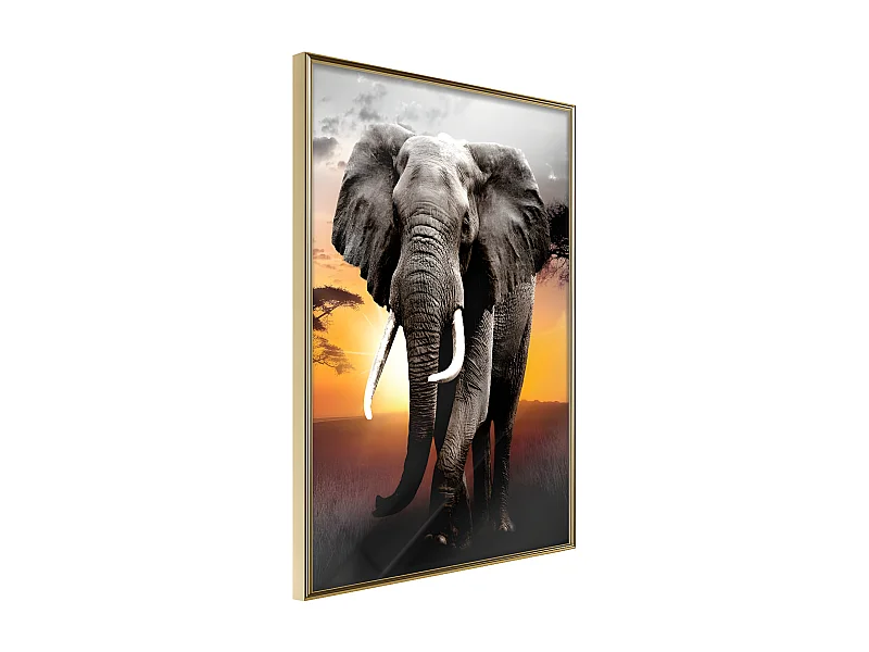 Affiche Murale Encadrée "Majestic Elephant" 30 x 42 cm Or