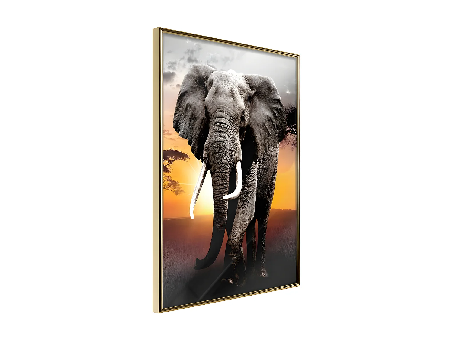 Affiche Murale Encadrée "Majestic Elephant" 30 x 42 cm Or
