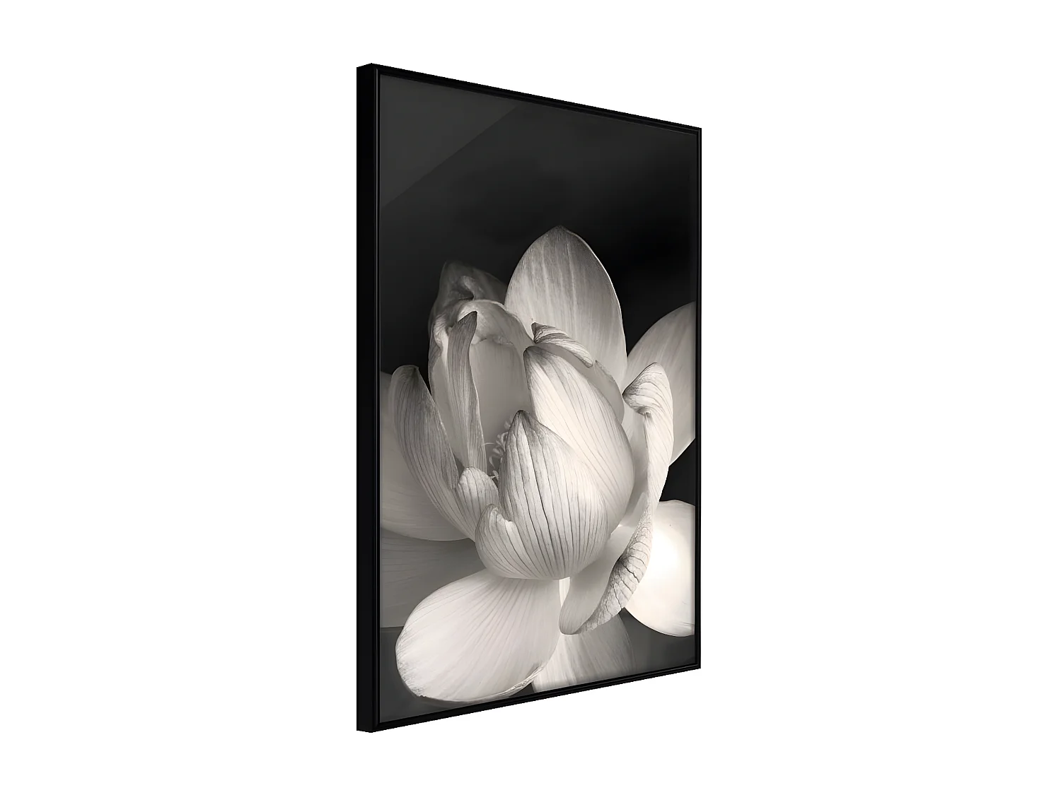 Affiche Murale Encadrée "Delicacy of a Flower" 40 x 60 cm Noir