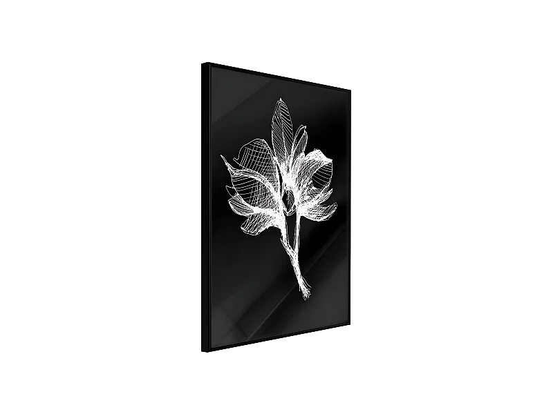 Affiche Murale Encadrée "White Plant" 21 x 30 cm Noir