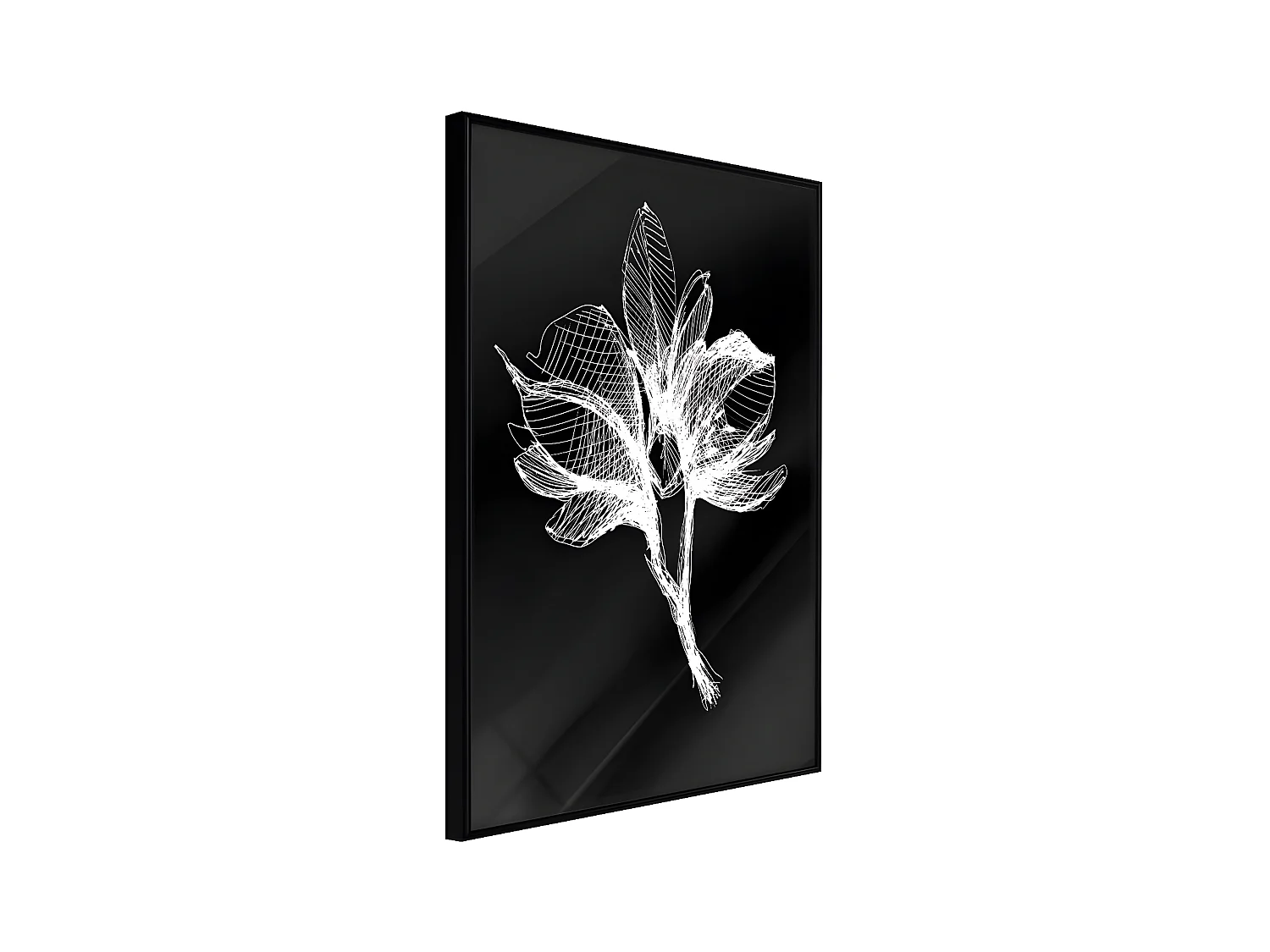 Affiche Murale Encadrée "White Plant" 21 x 30 cm Noir