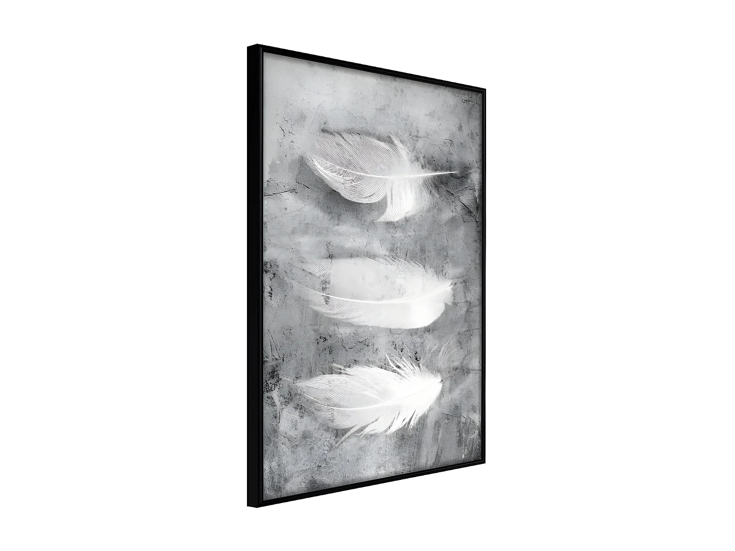 Affiche Murale Encadrée "Delicate Feathers" 30 x 42 cm Noir