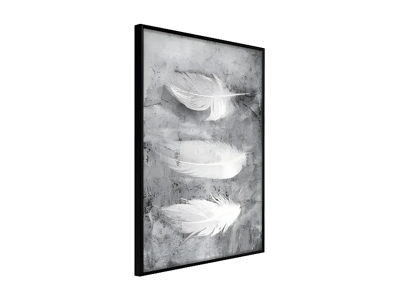 Affiche Murale Encadrée "Delicate Feathers" 30 x 42 cm Noir