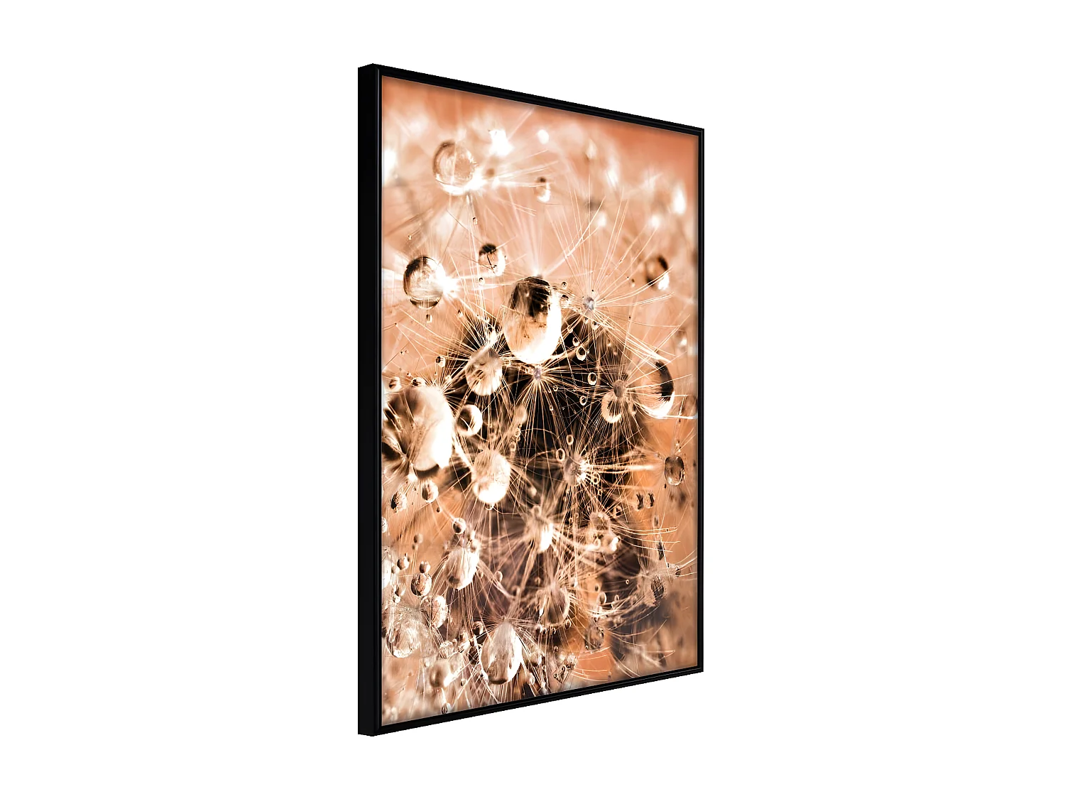 Affiche Murale Encadrée "Drops on Dandelion" 21 x 30 cm Noir