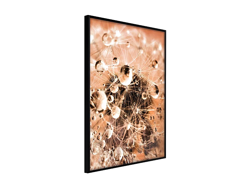 Affiche Murale Encadrée "Drops on Dandelion" 21 x 30 cm Noir