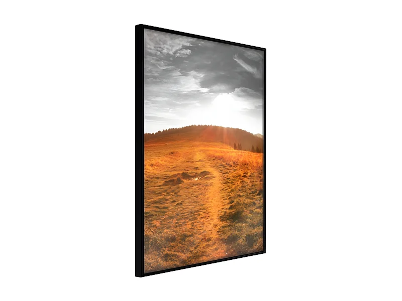 Affiche Murale Encadrée "Prairie" 40 x 60 cm Noir