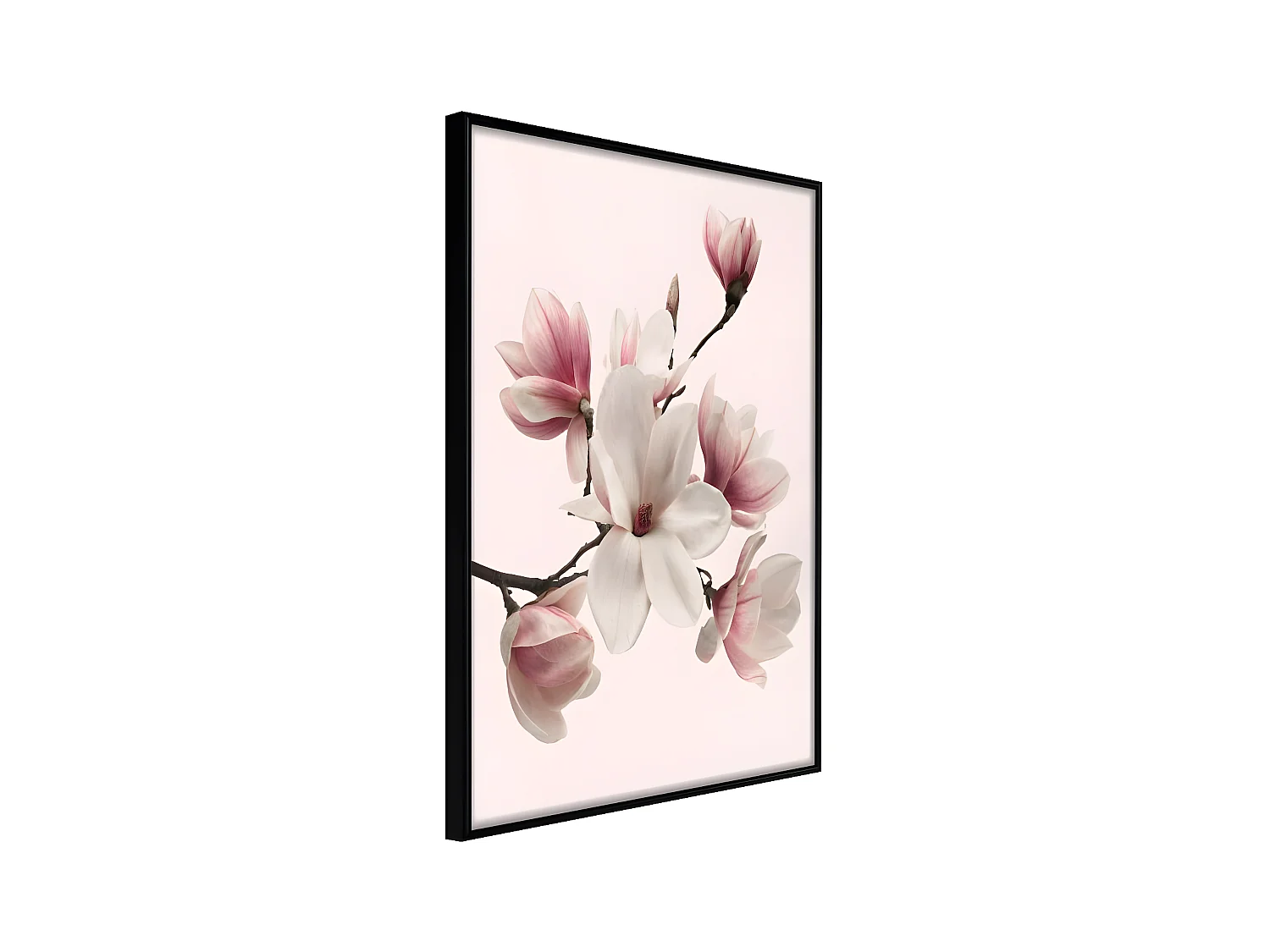 Affiche Murale Encadrée "Blooming Magnolias I" 30 x 42 cm Noir