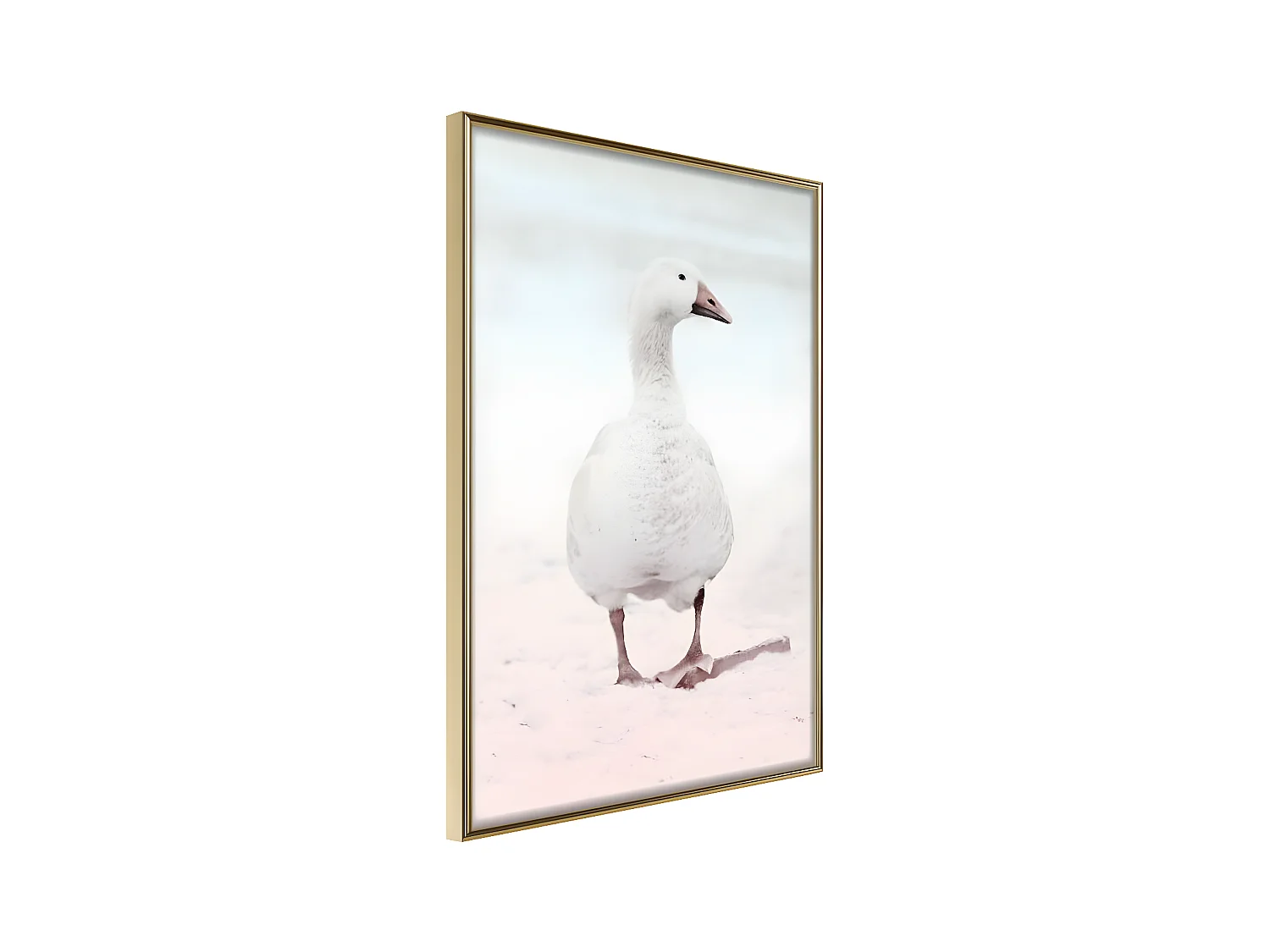 Affiche Murale Encadrée "Walking Goose" 30 x 42 cm Or