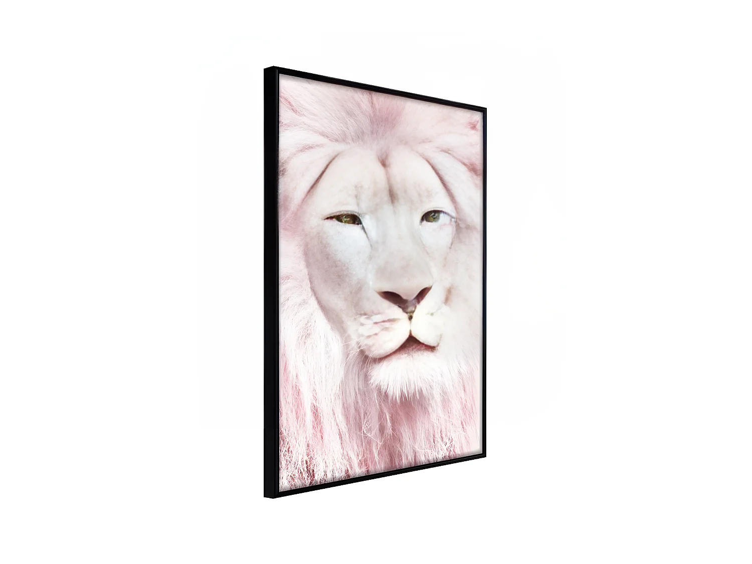 Affiche Murale Encadrée "Dreamy Lion" 30 x 42 cm Noir