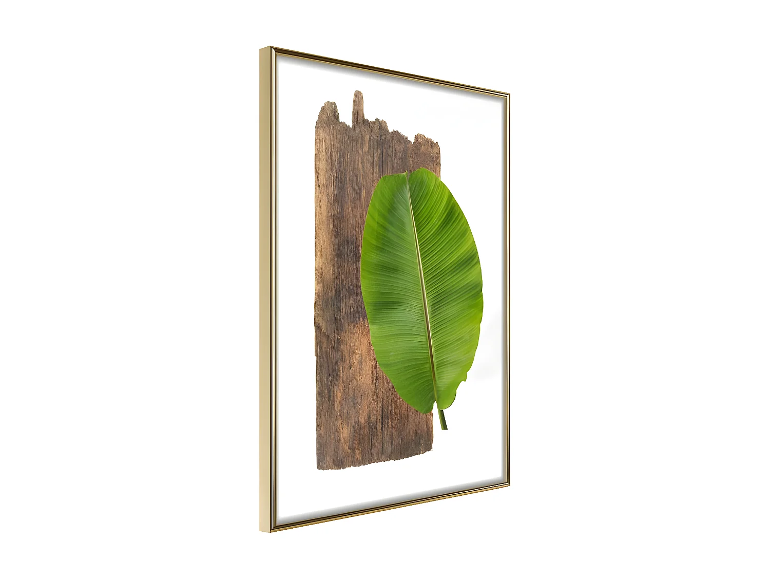 Affiche Murale Encadrée "Forest Nature" 30 x 42 cm Or