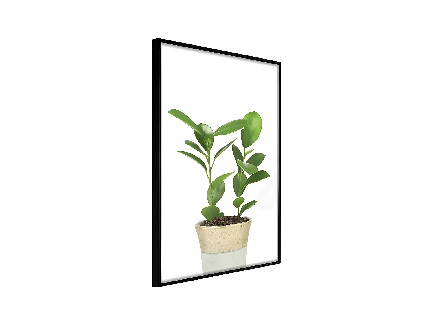 Affiche Murale Encadrée "Piece of Nature II" 21 x 30 cm Noir