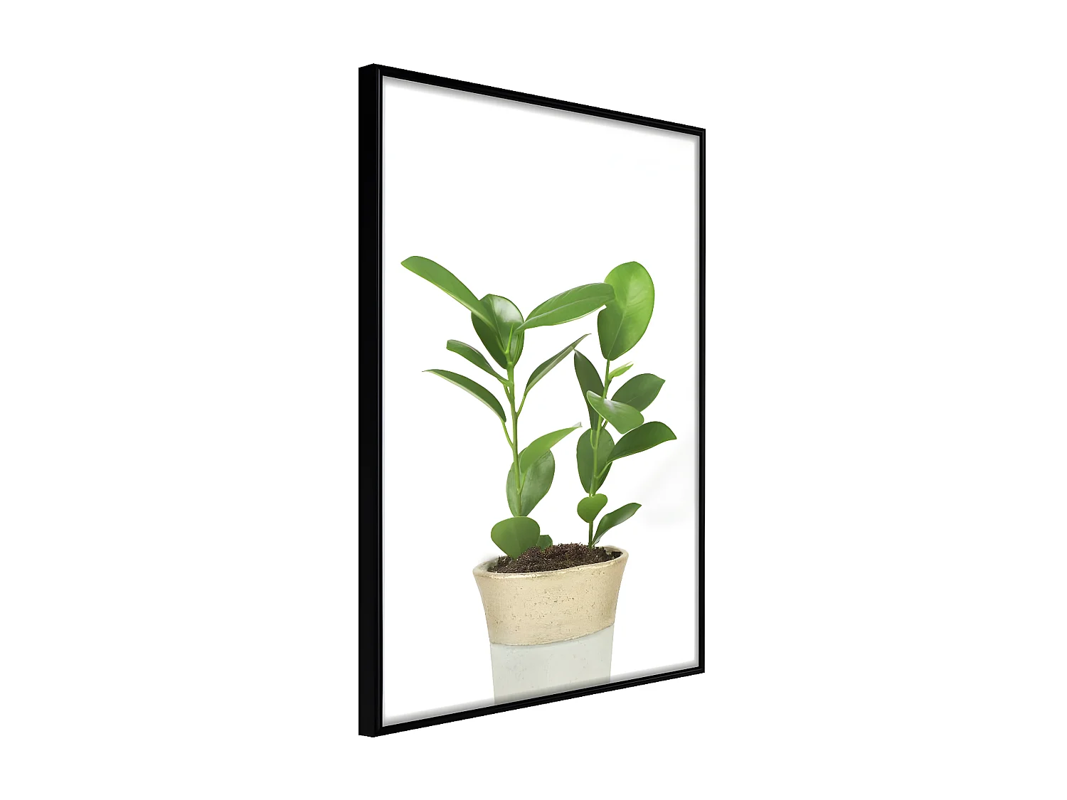 Affiche Murale Encadrée "Piece of Nature II" 21 x 30 cm Noir