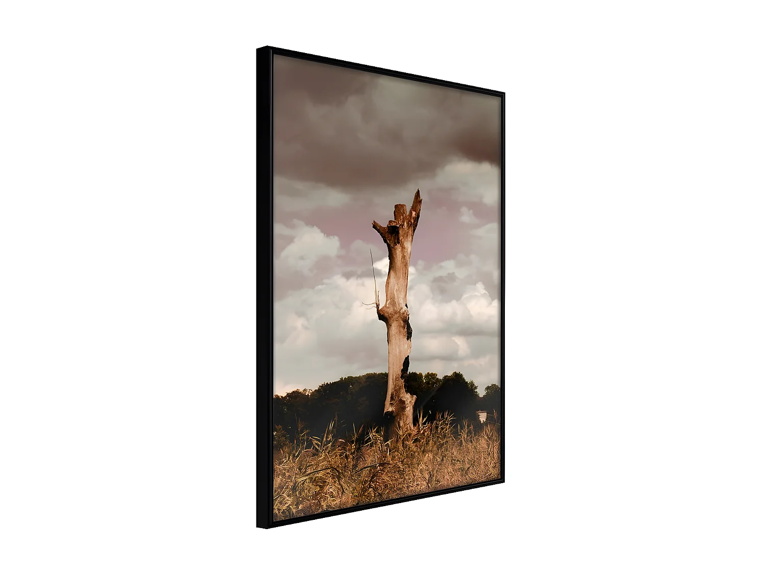 Affiche Murale Encadrée "Loneliness in Nature" 40 x 60 cm Noir