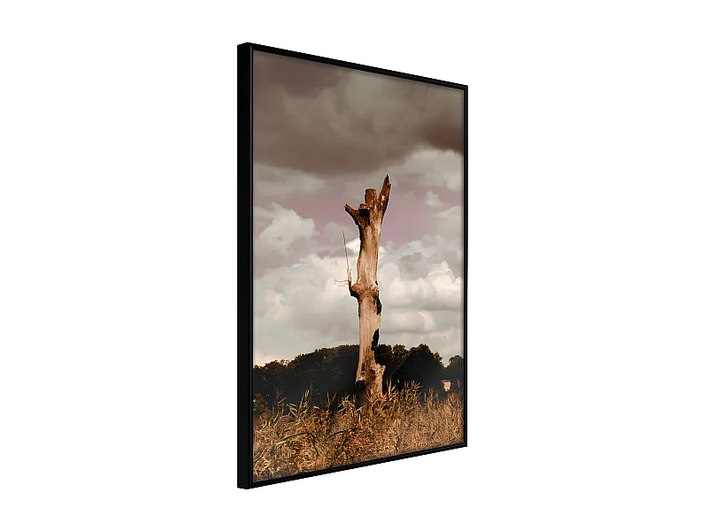 Affiche Murale Encadrée "Loneliness in Nature" 40 x 60 cm Noir