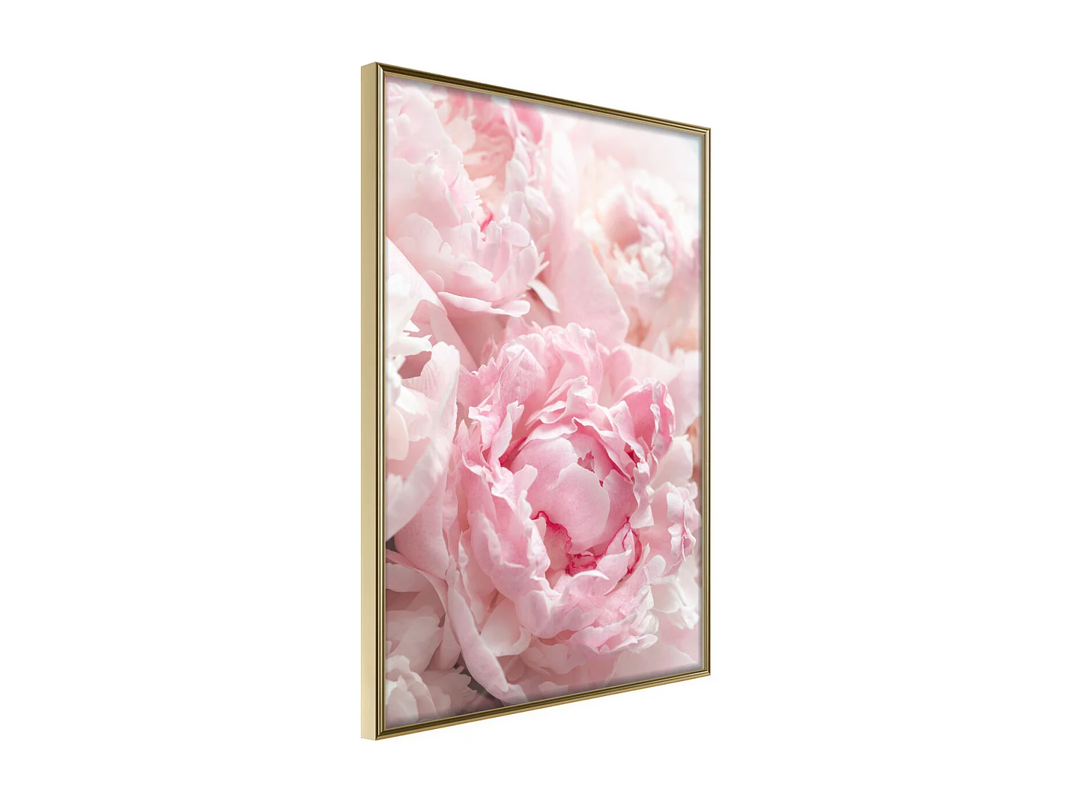 Affiche Murale Encadrée "Abundance of Flowers" 40 x 60 cm Or