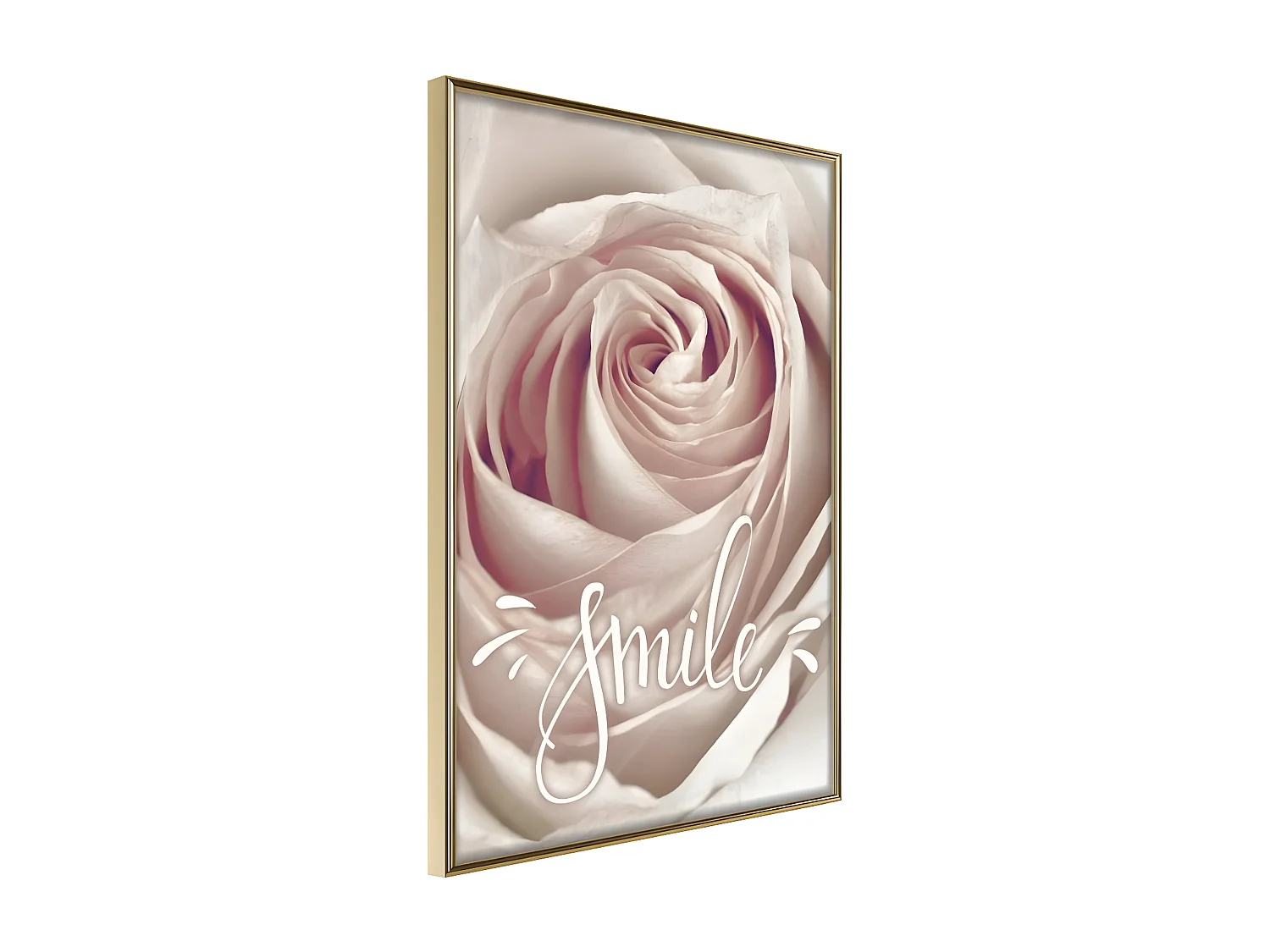 Affiche Murale Encadrée "Rose with a Message " 40 x 60 cm Or