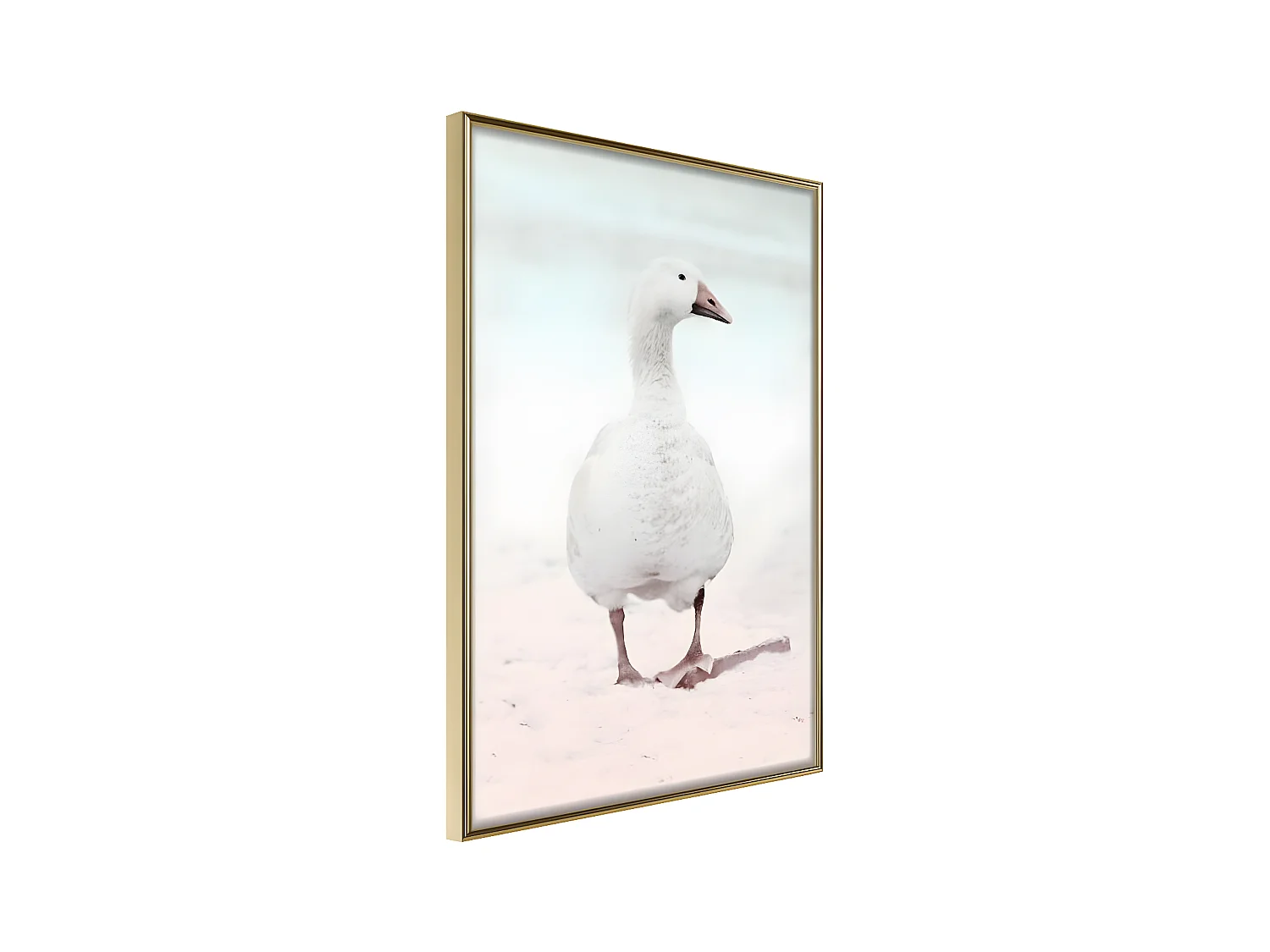 Affiche Murale Encadrée "Walking Goose" 21 x 30 cm Or