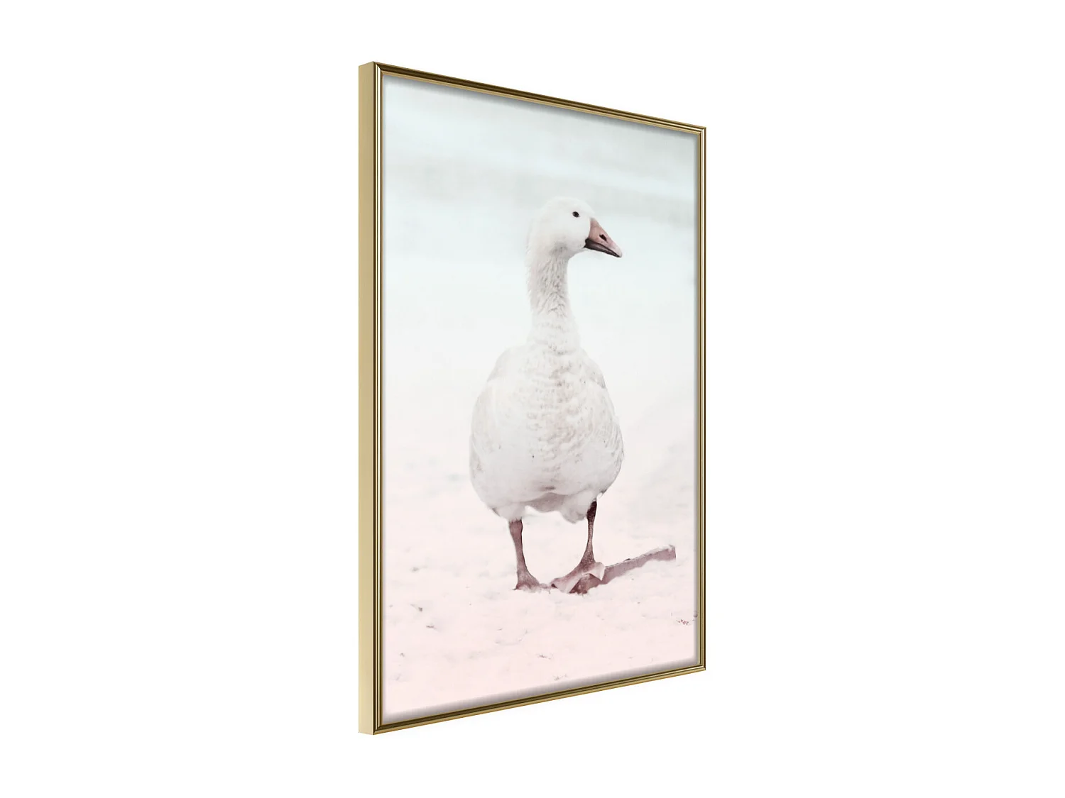 Affiche Murale Encadrée "Walking Goose" 21 x 30 cm Or
