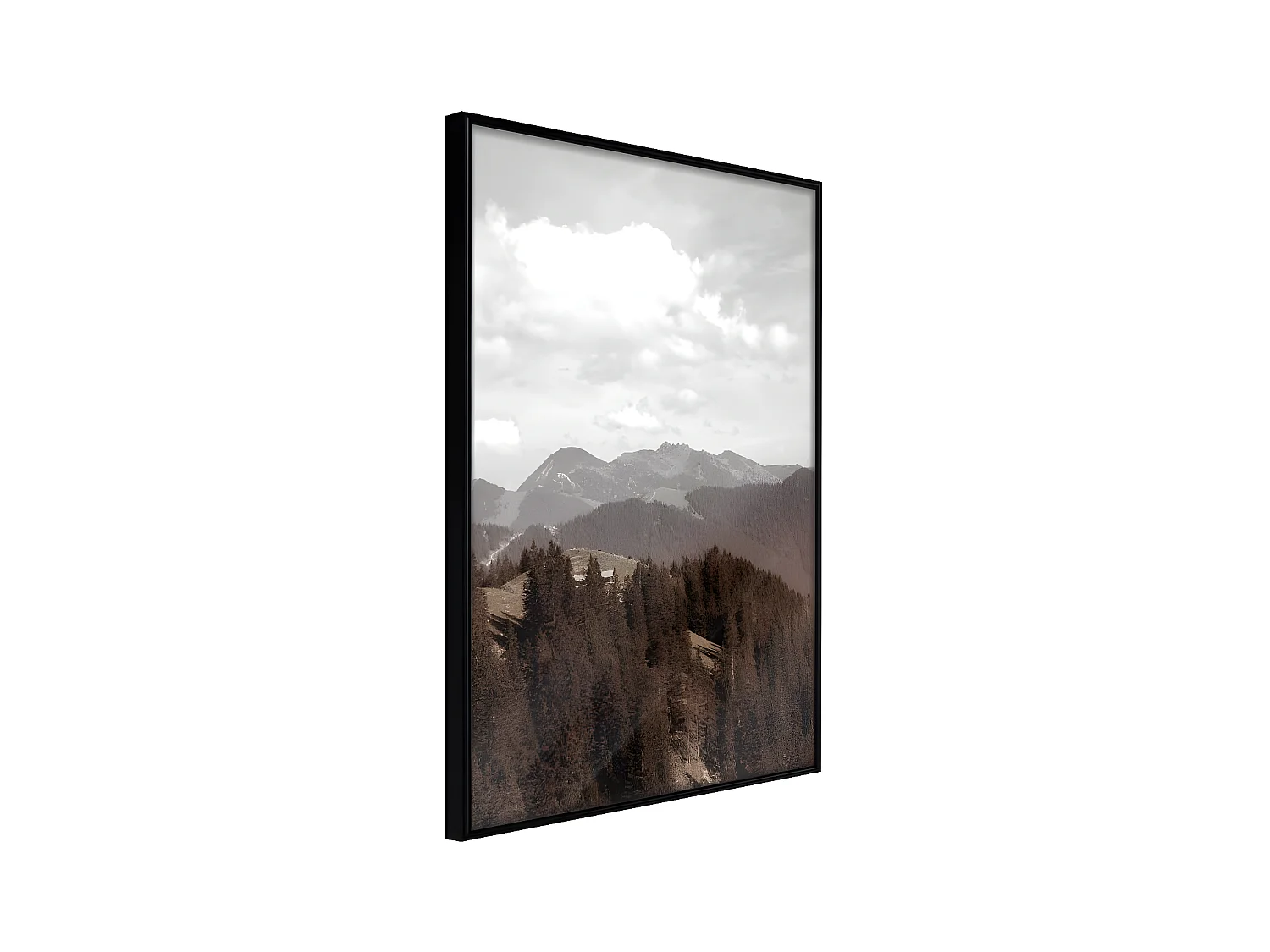 Affiche Murale Encadrée "Breathtaking View" 40 x 60 cm Noir