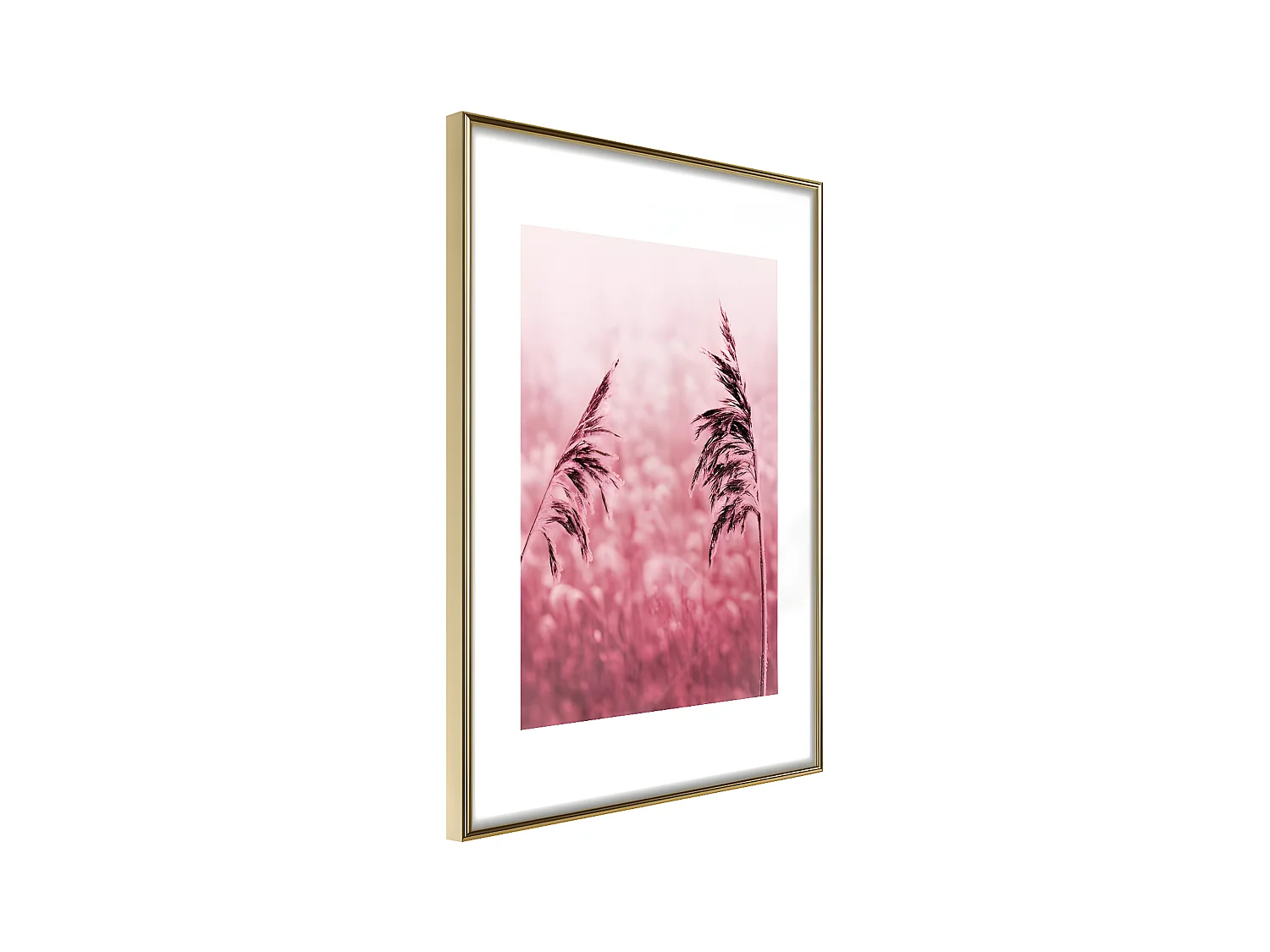 Affiche Murale Encadrée "Amaranth Meadow" 21 x 30 cm Or