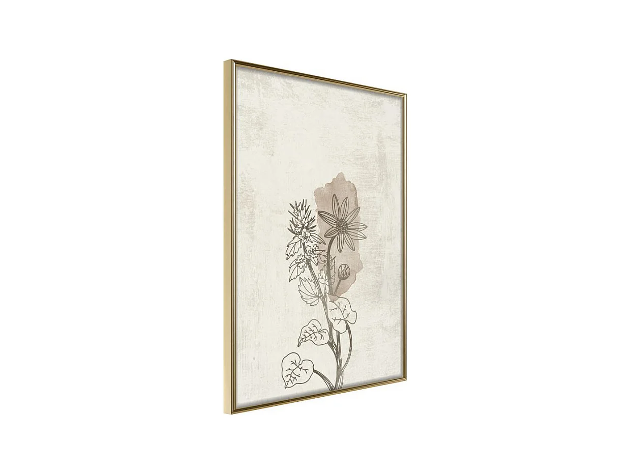 Affiche Murale Encadrée "Life of Plants" 21 x 30 cm Or