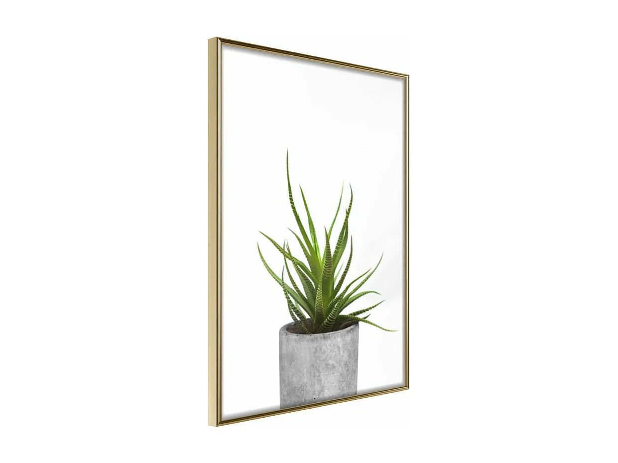 Affiche Murale Encadrée "Piece of Nature I" 30 x 42 cm Or