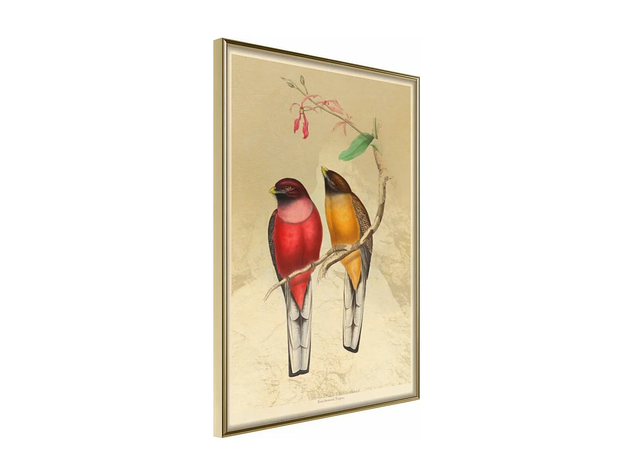 Affiche Murale Encadrée "Ornithologist's Drawings" 21 x 30 cm Or