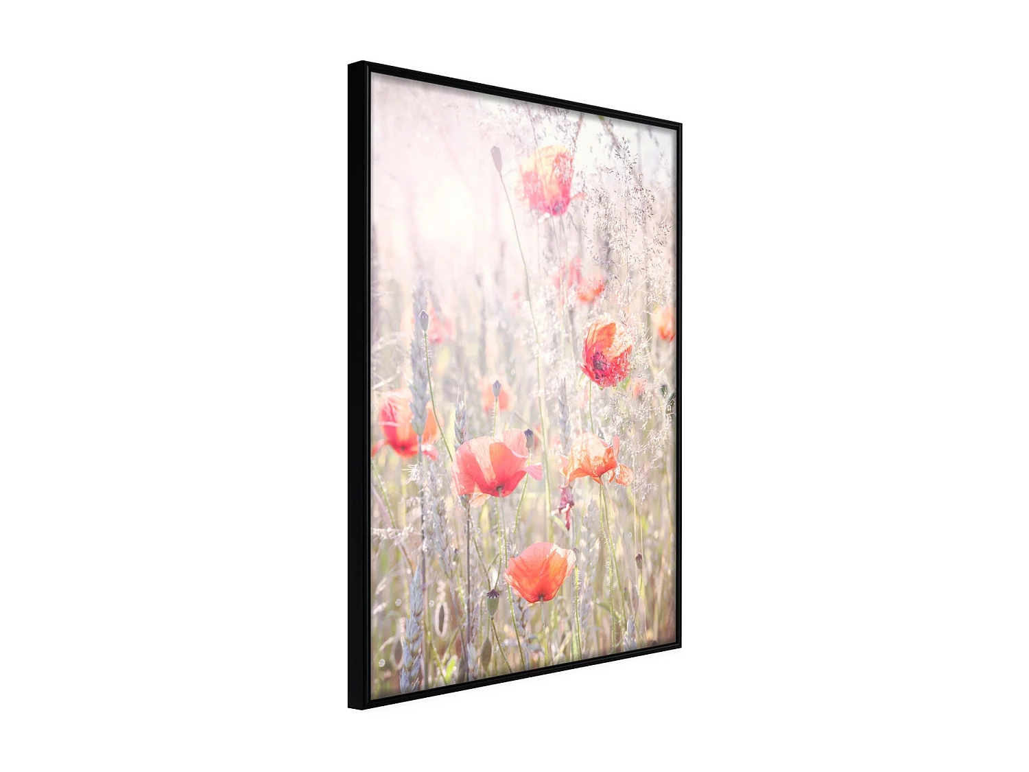 Affiche Murale Encadrée "Poppies" 40 x 60 cm Noir