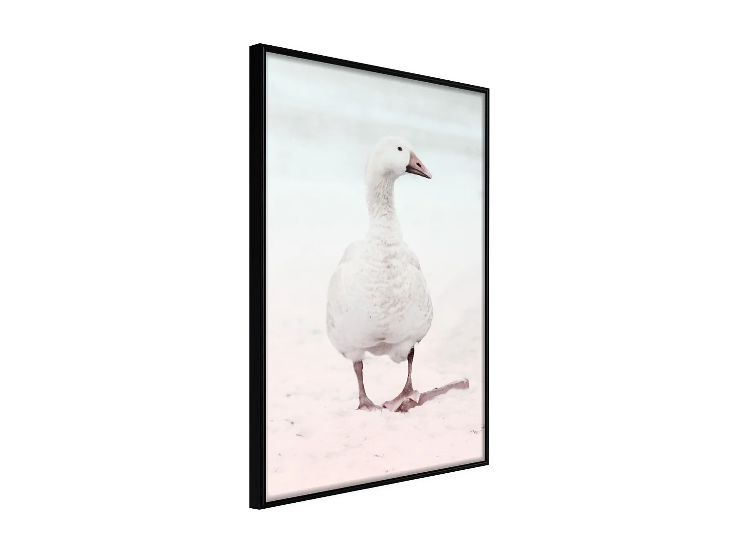 Affiche Murale Encadrée "Walking Goose" 30 x 42 cm Noir