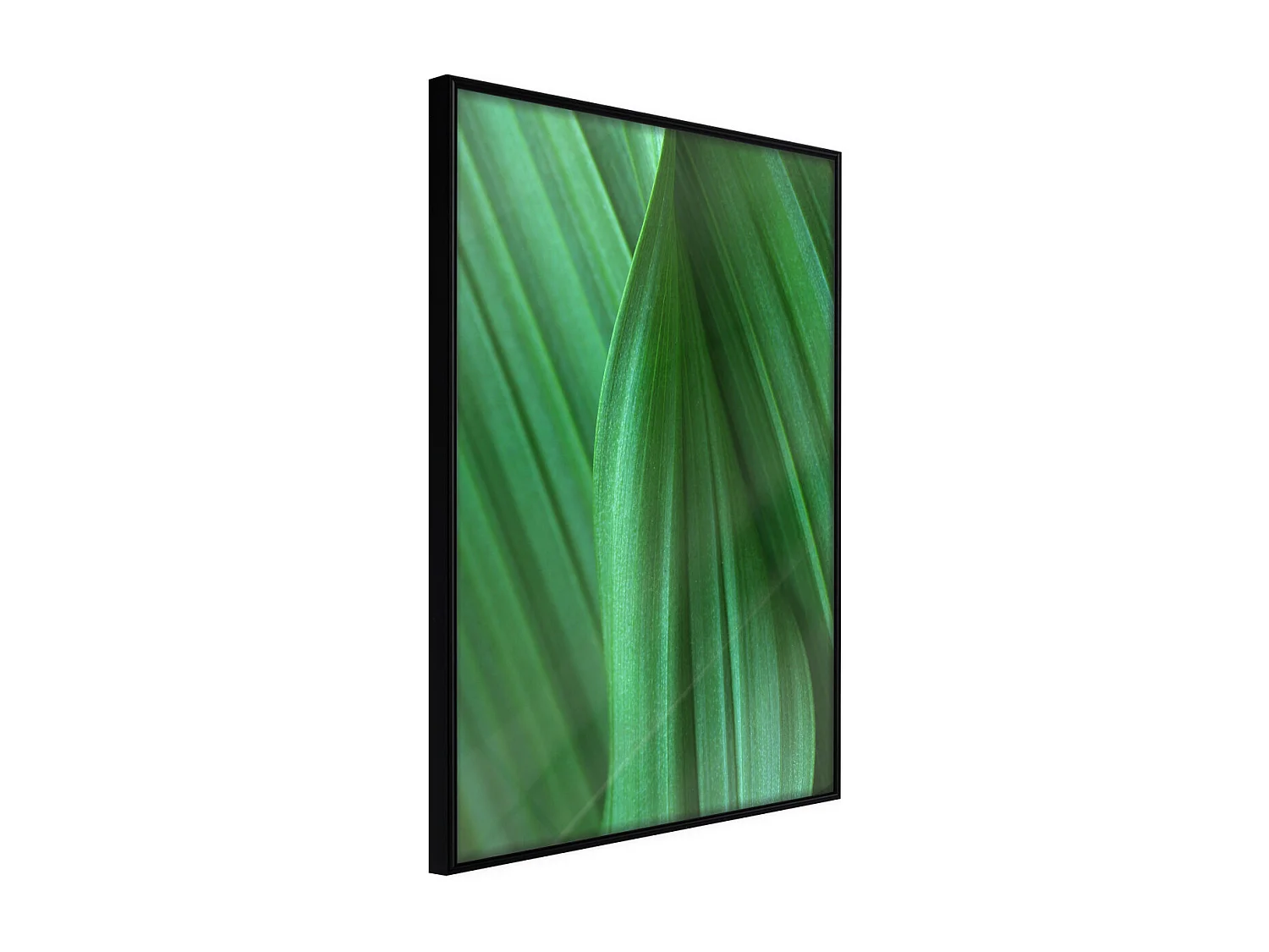 Affiche Murale Encadrée "Leaf Structure" 21 x 30 cm Noir