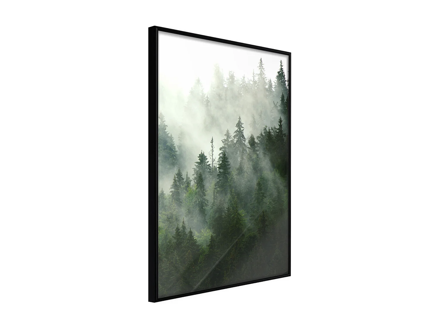 Affiche Murale Encadrée "Steaming Forest" 21 x 30 cm Noir