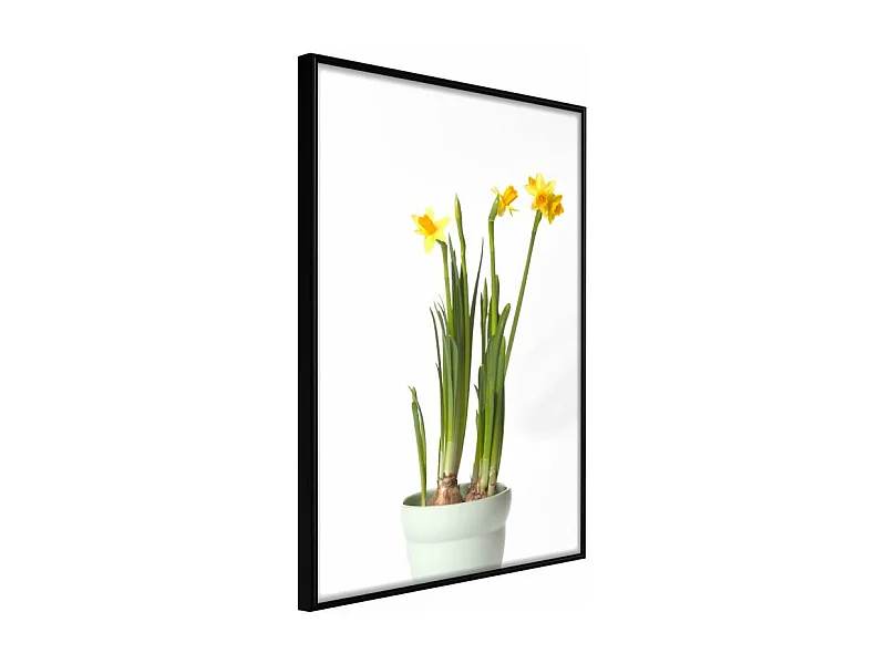 Affiche Murale Encadrée "Piece of Nature IV" 30 x 42 cm Noir