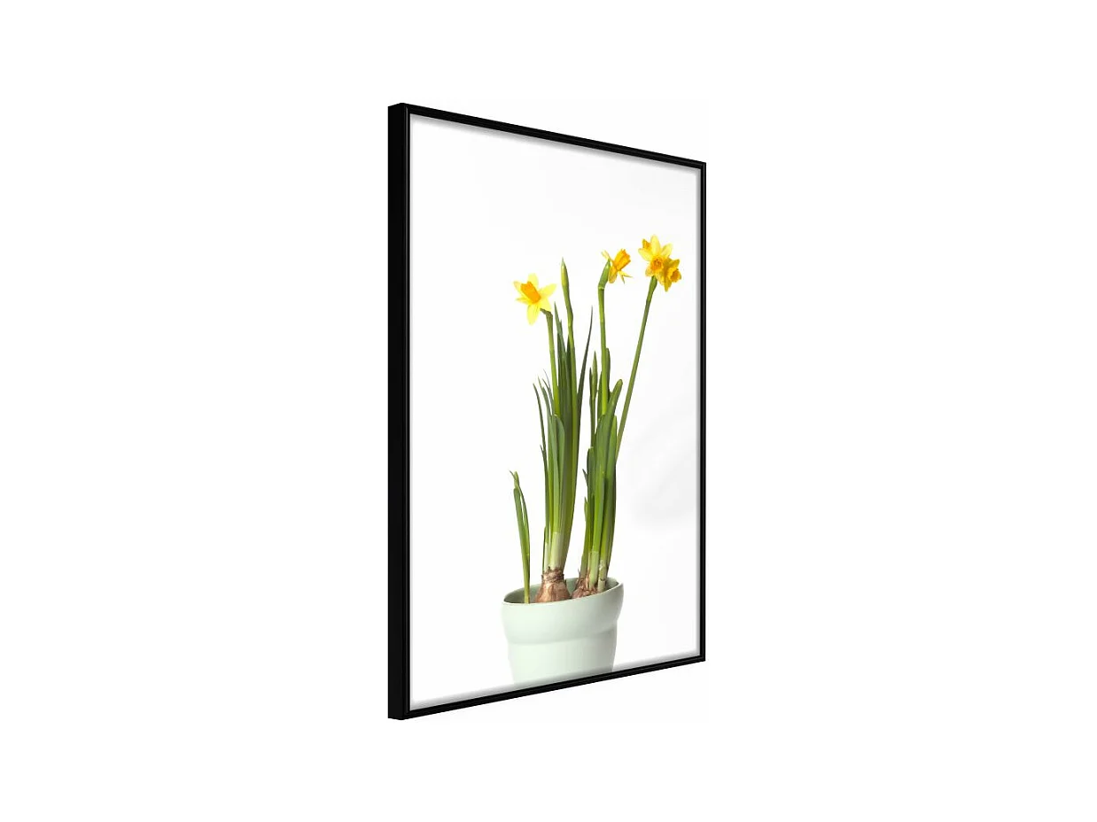 Affiche Murale Encadrée "Piece of Nature IV" 30 x 42 cm Noir