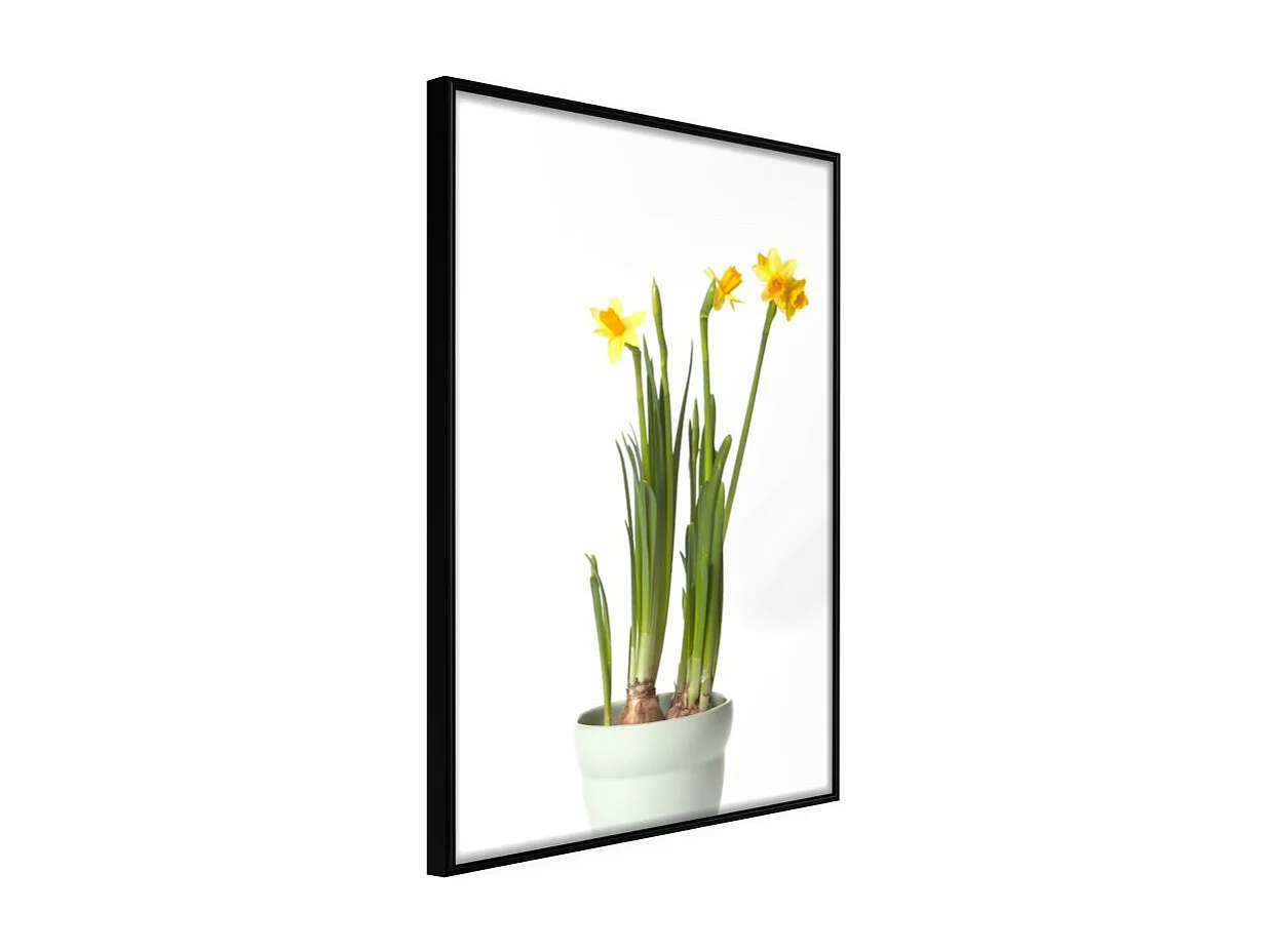 Affiche Murale Encadrée "Piece of Nature IV" 30 x 42 cm Noir