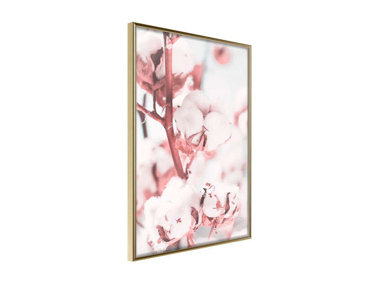 Affiche Murale Encadrée "Cotton Flowers" 40 x 60 cm Or