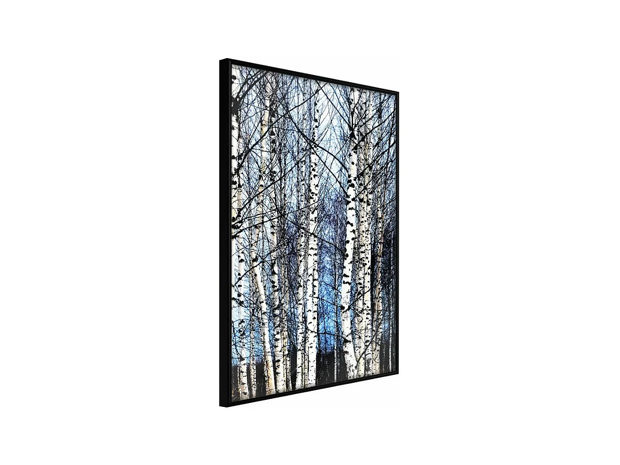 Affiche Murale Encadrée "Winter Birch Trees" 21 x 30 cm Noir