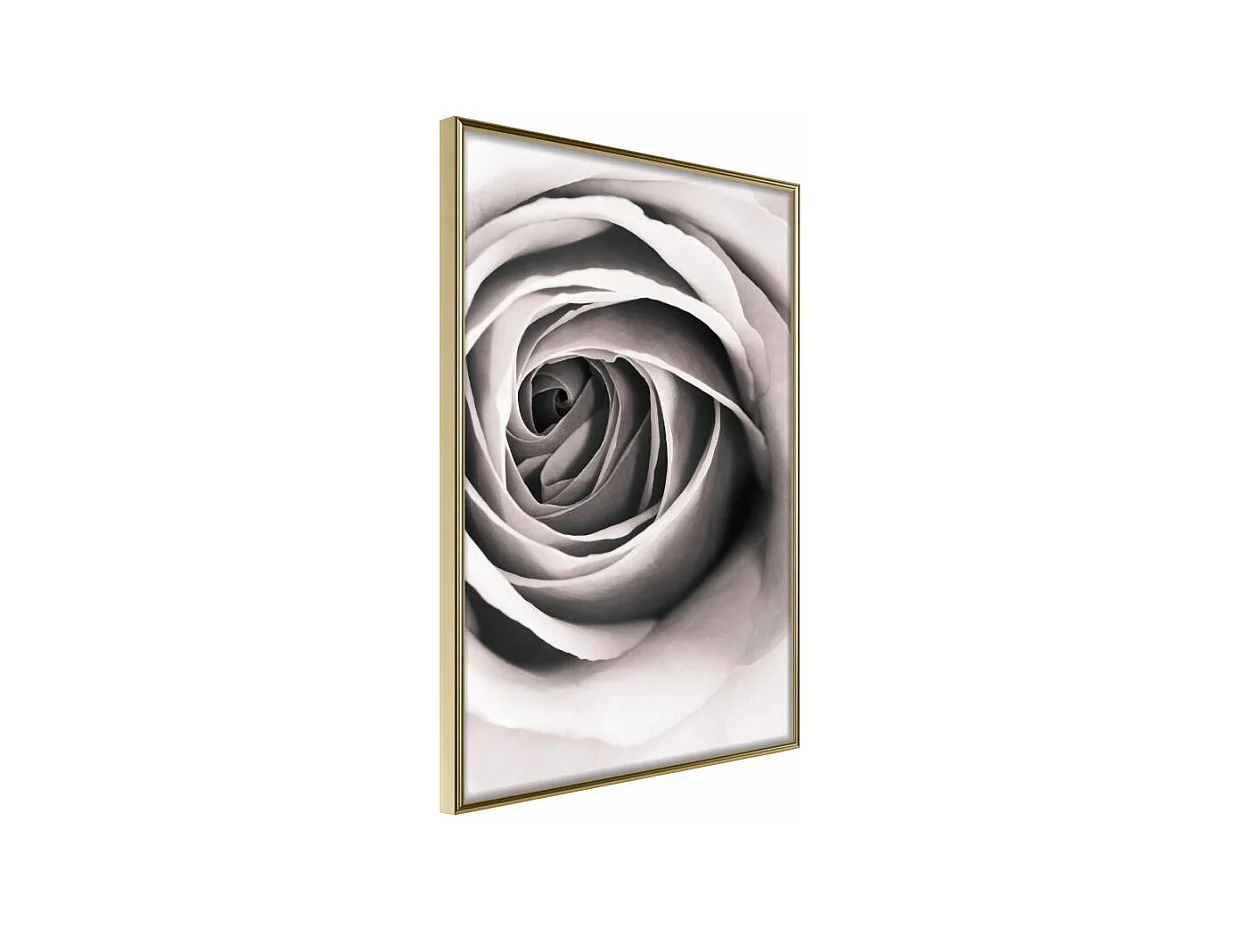 Affiche Murale Encadrée "Structure of Petals" 40 x 60 cm Or