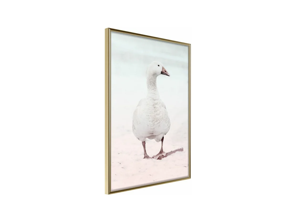 Affiche Murale Encadrée "Walking Goose" 40 x 60 cm Or