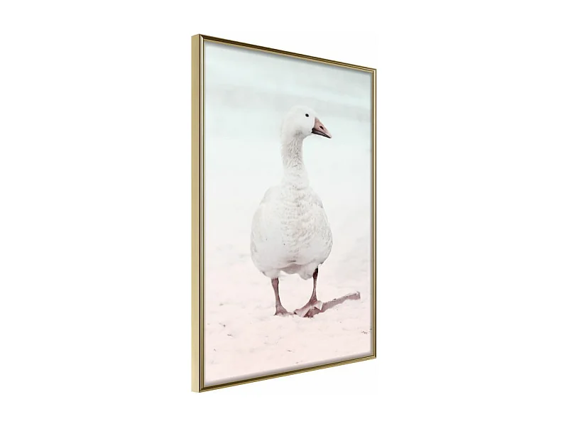 Affiche Murale Encadrée "Walking Goose" 40 x 60 cm Or