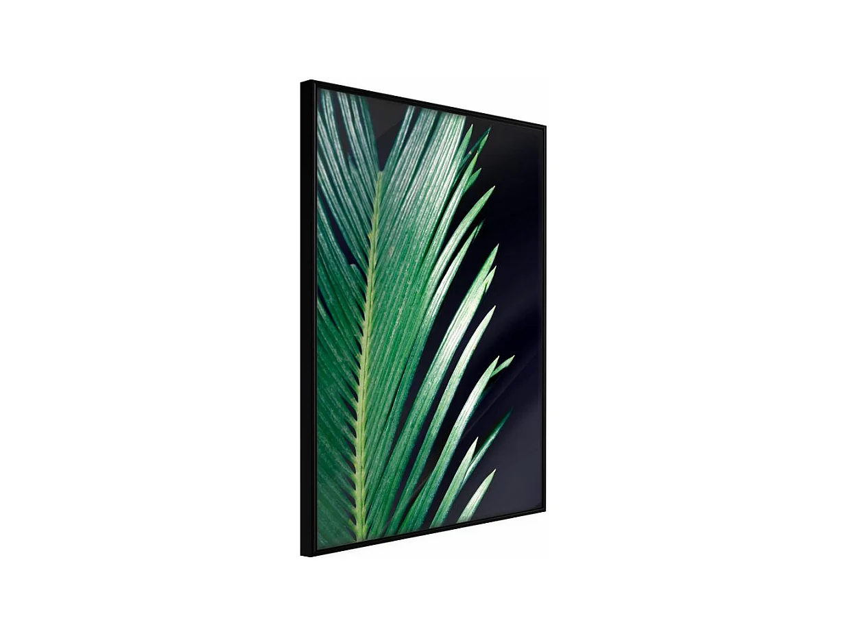 Affiche Murale Encadrée "Soothing Green" 40 x 60 cm Noir