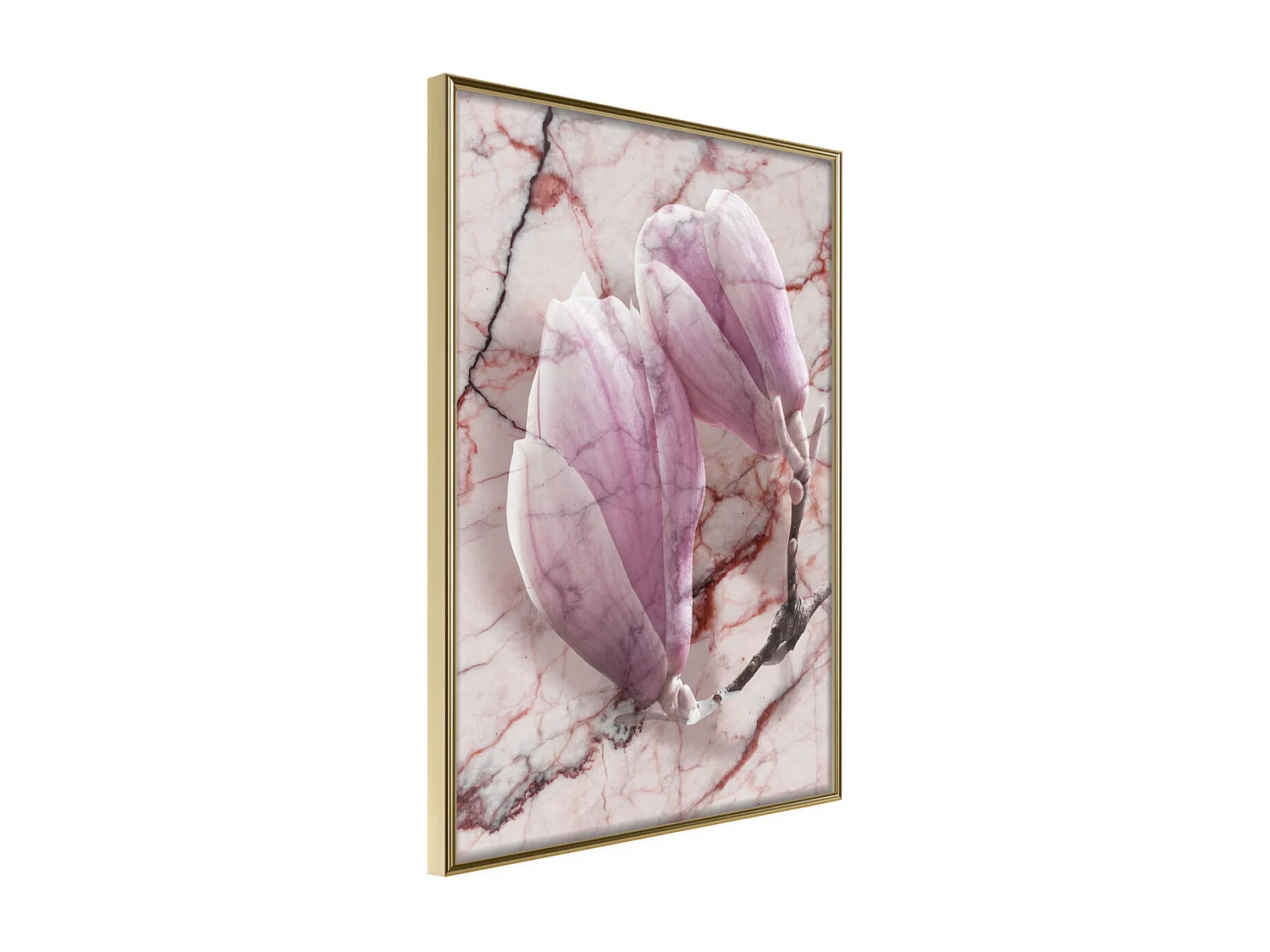 Affiche Murale Encadrée "Magnolia on Marble Background" 30 x 42 cm Or