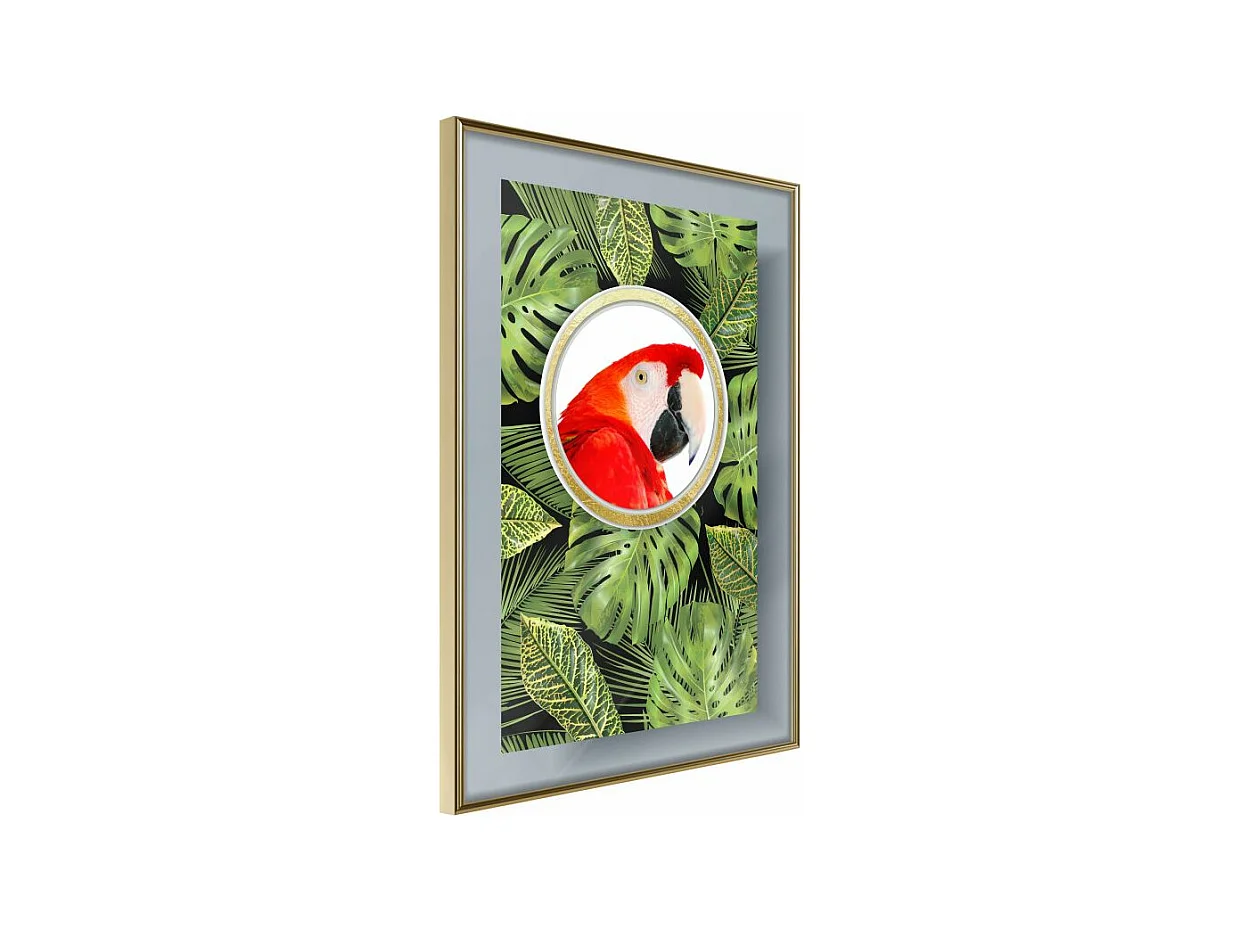 Affiche Murale Encadrée "Parrot Says Hi" 21 x 30 cm Or