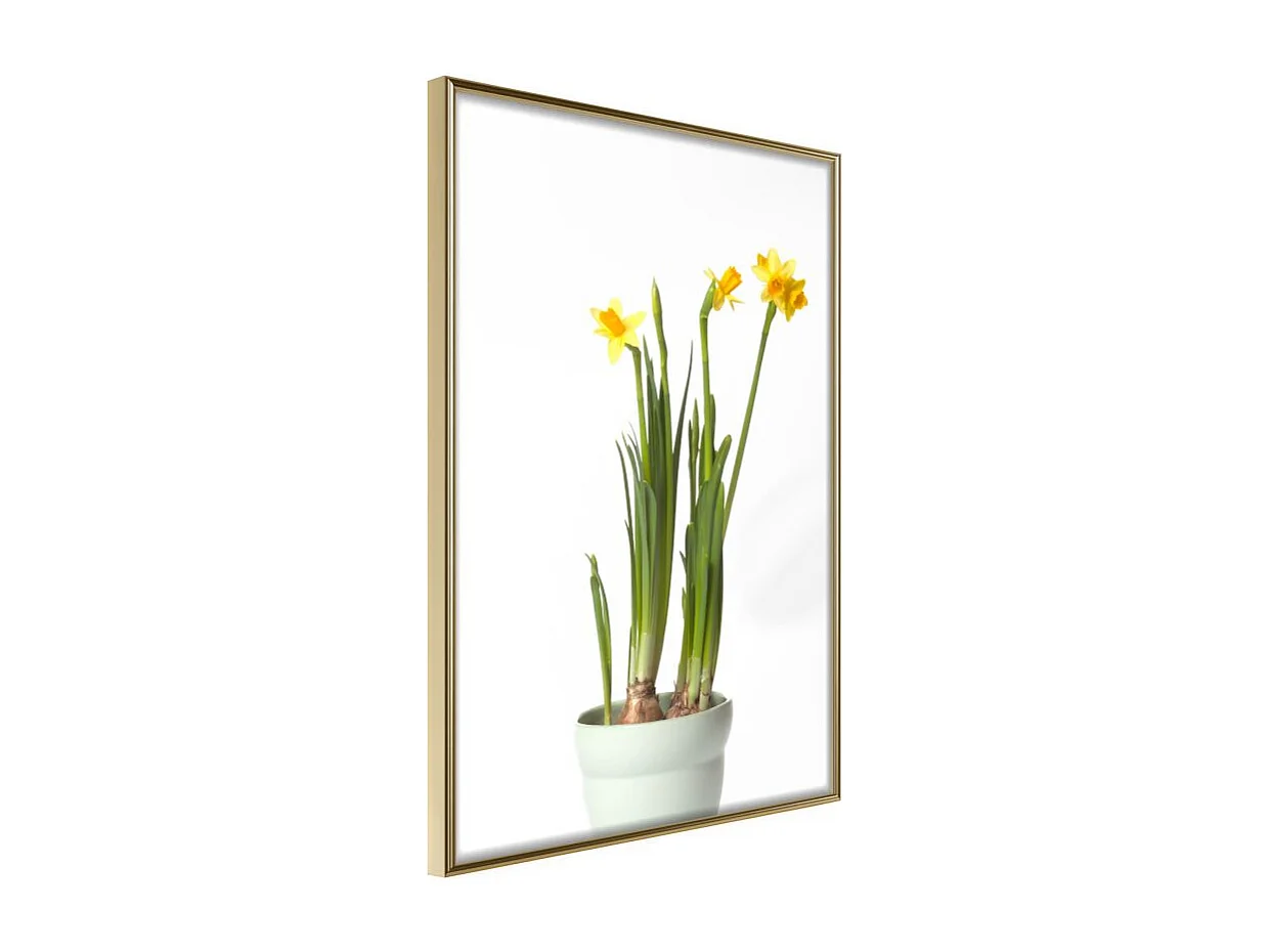 Affiche Murale Encadrée "Piece of Nature IV" 30 x 42 cm Or