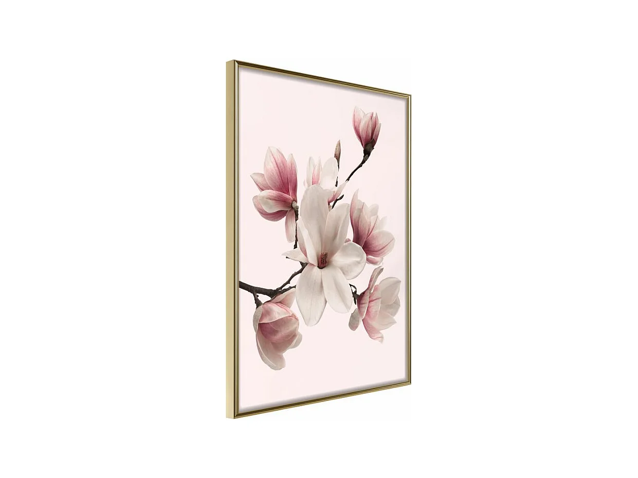 Affiche Murale Encadrée "Blooming Magnolias I" 21 x 30 cm Or