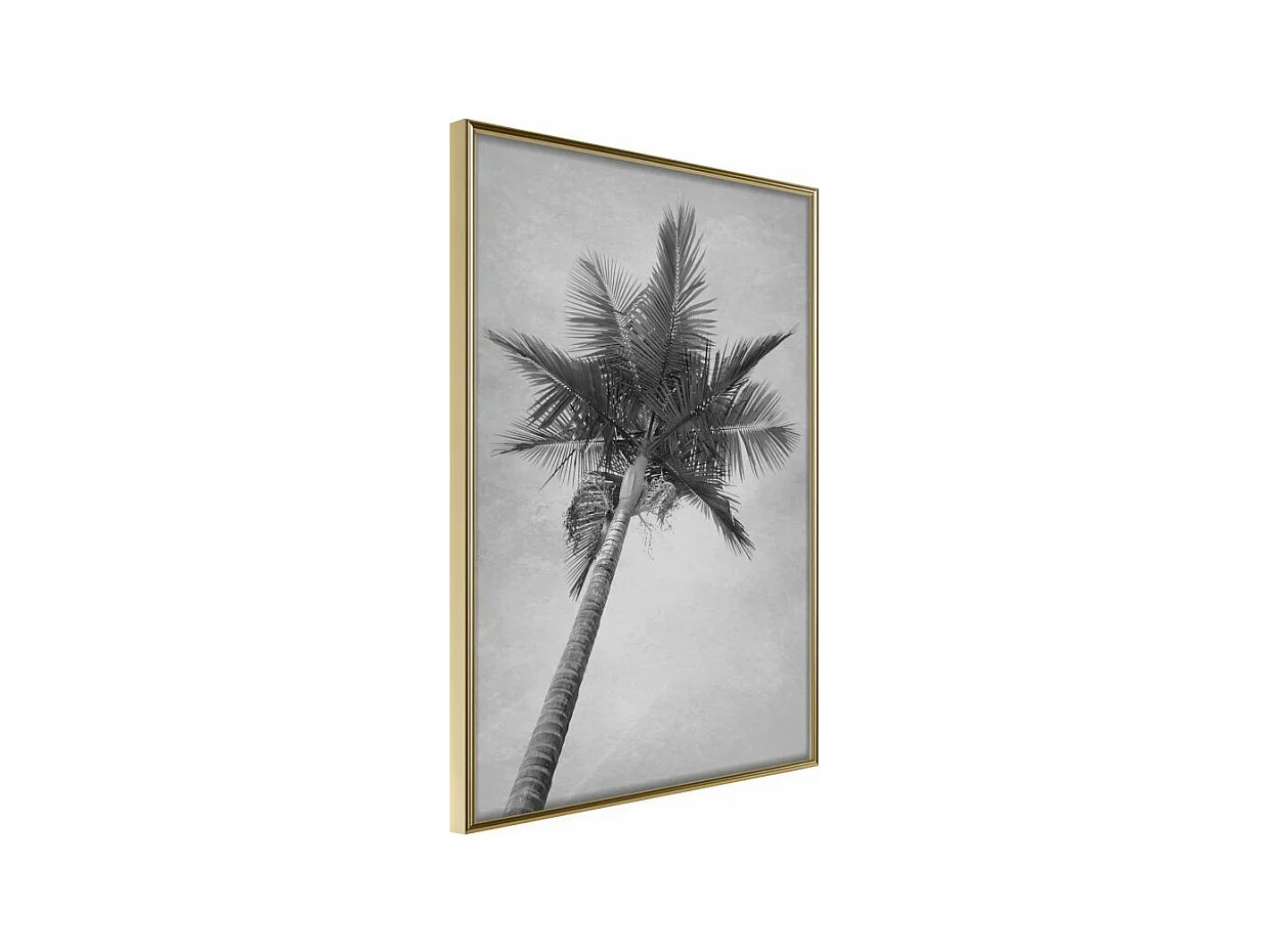 Affiche Murale Encadrée "Memories from the Paradise" 40 x 60 cm Or