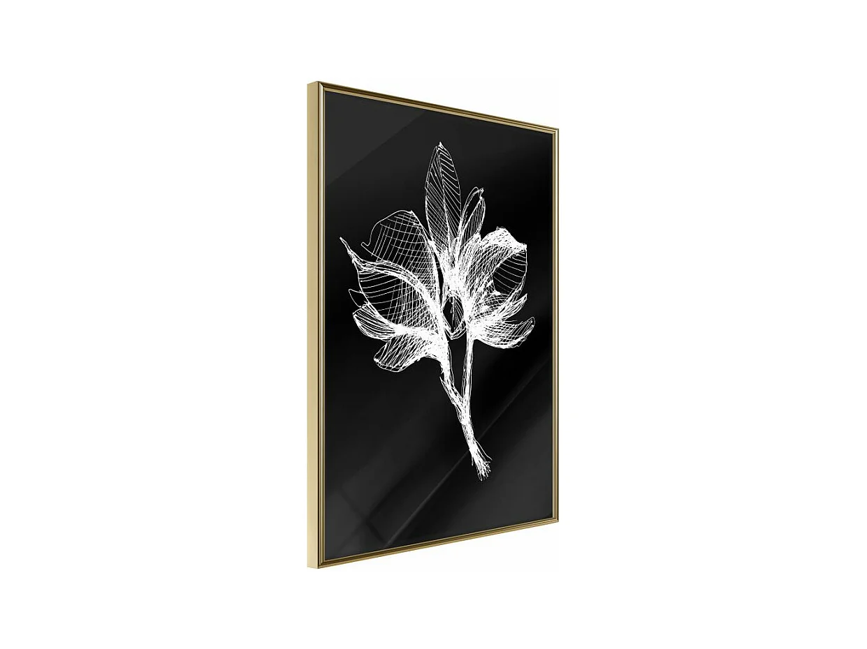 Affiche Murale Encadrée "White Plant" 21 x 30 cm Or