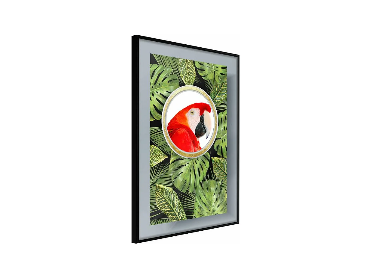 Affiche Murale Encadrée "Parrot Says Hi" 30 x 42 cm Noir