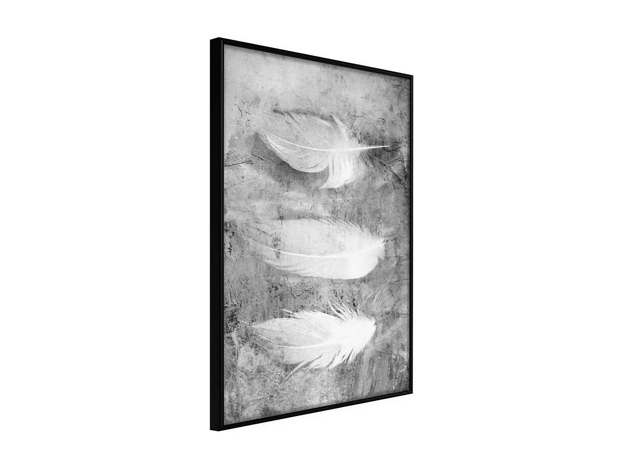 Affiche Murale Encadrée "Delicate Feathers" 21 x 30 cm Noir