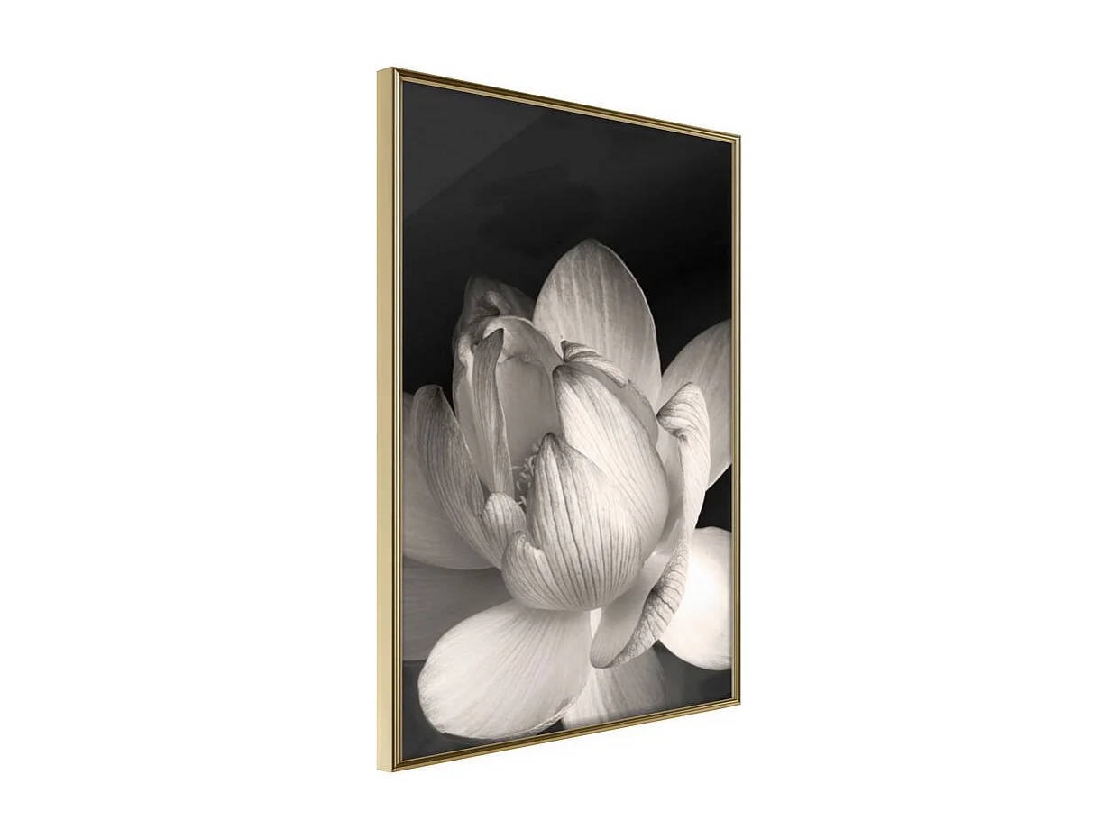 Affiche Murale Encadrée "Delicacy of a Flower" 21 x 30 cm Or